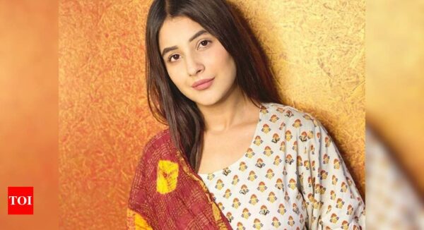 4 ShehnaCharu Mehra Indian Television Actress Wiki ,Bio, Profile, Unknown Facts and Family Details revealedaz Gill Movies Featured Before Becoming A Popular Star