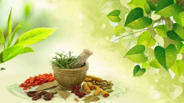 Wellhealth Ayurvedic Health Tips: Introduction to Ayurveda